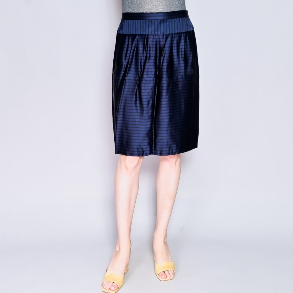 DRIES VAN NOTEN Blue Stripe Satin Skirt - Picture 6 of 6